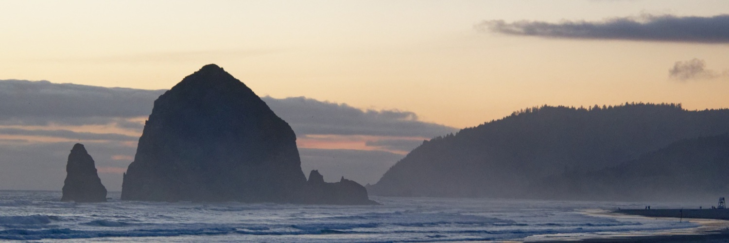 wood's profile header