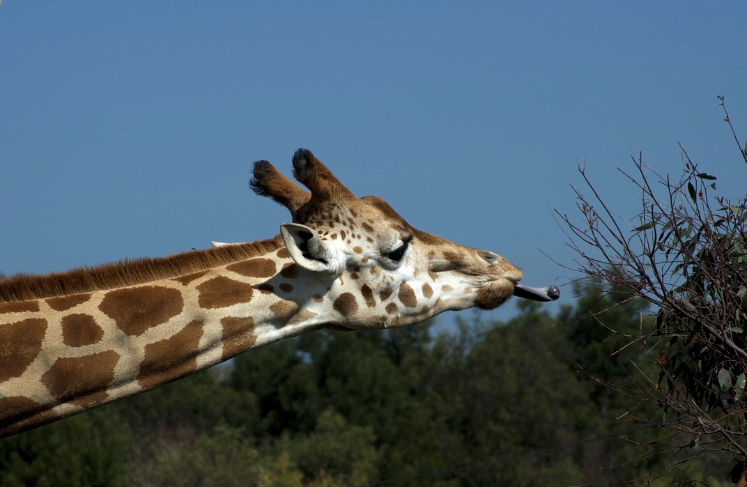 gpnaturephotos's profile header