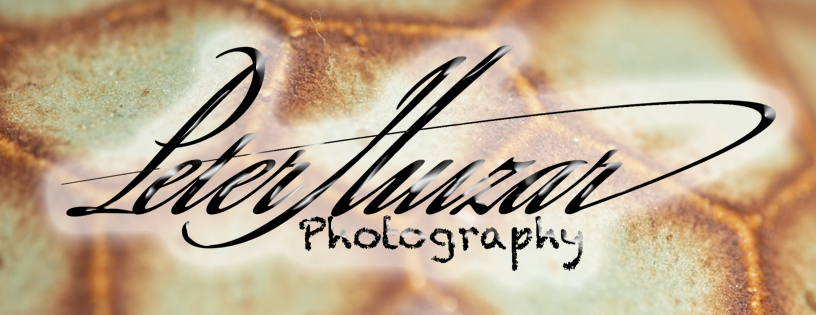 AGuyChasingPhotos's profile header