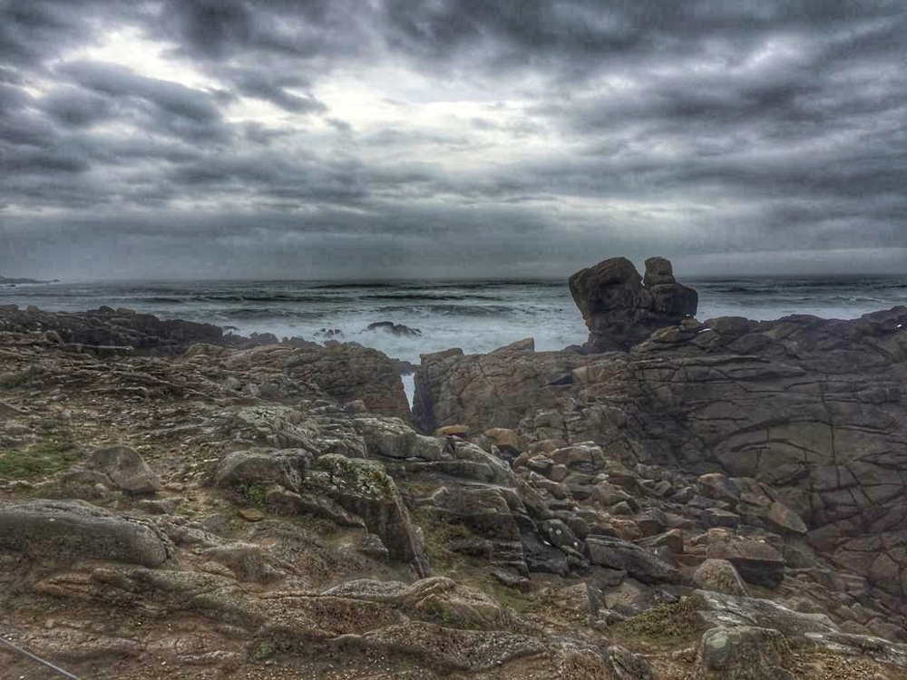 Miours's profile header