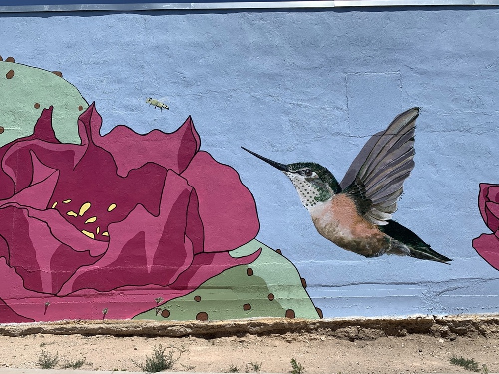 miaq's profile header