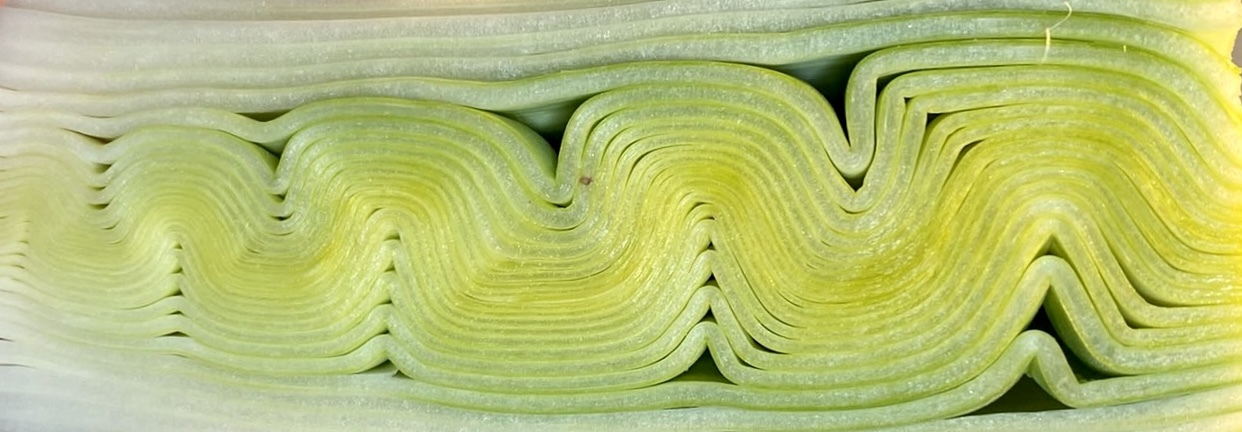 StudioCaroline's profile header