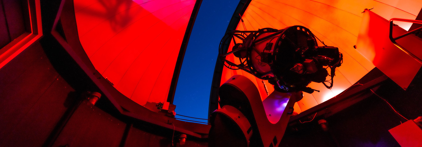 BGO's profile header