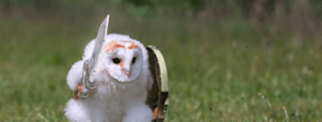 fleur_de_LA's profile header