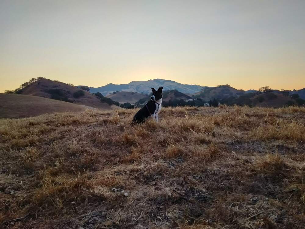 JamesMDonohoe's profile header