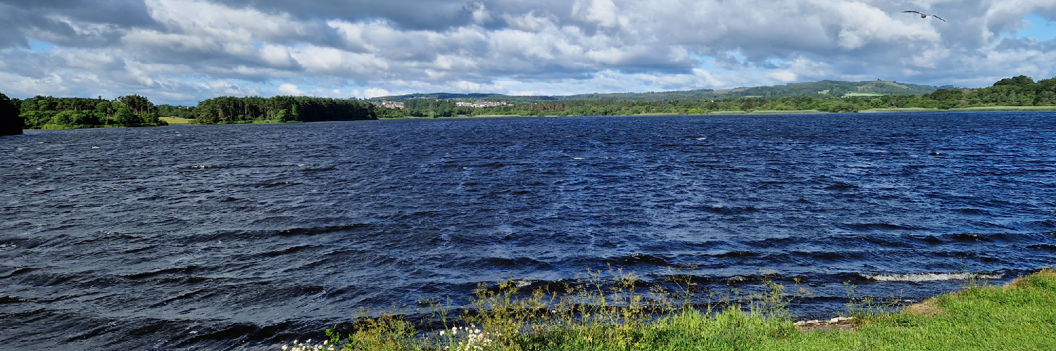 8bitarcher's profile header