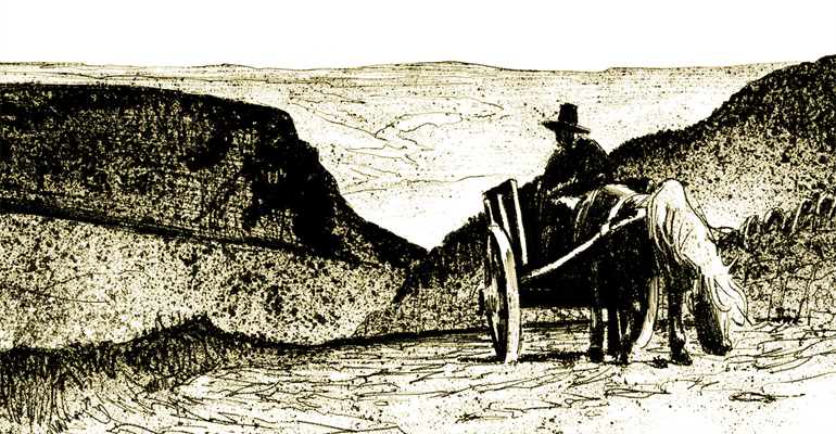 FDesanthemes's profile header