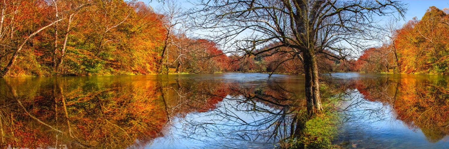 sheliahunt's profile header