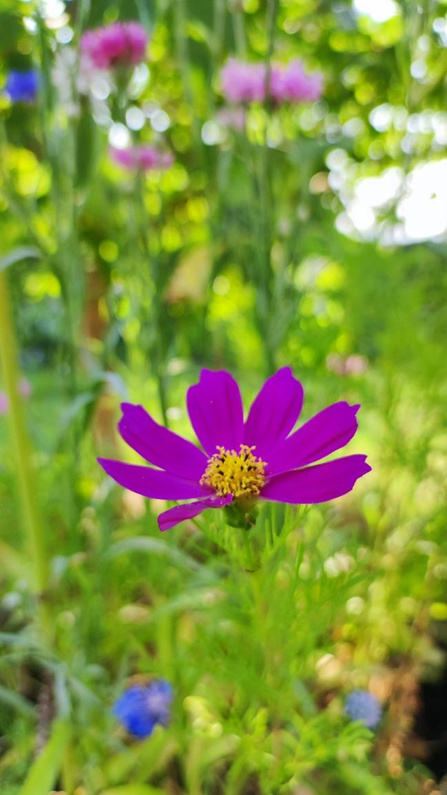 racchio's profile header