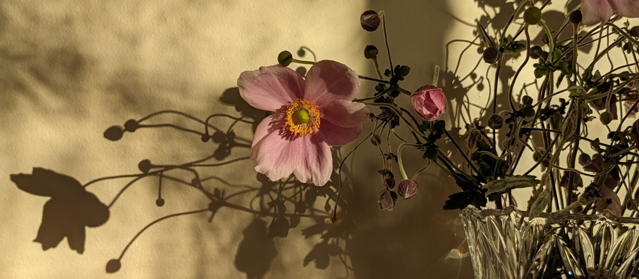 laura's profile header