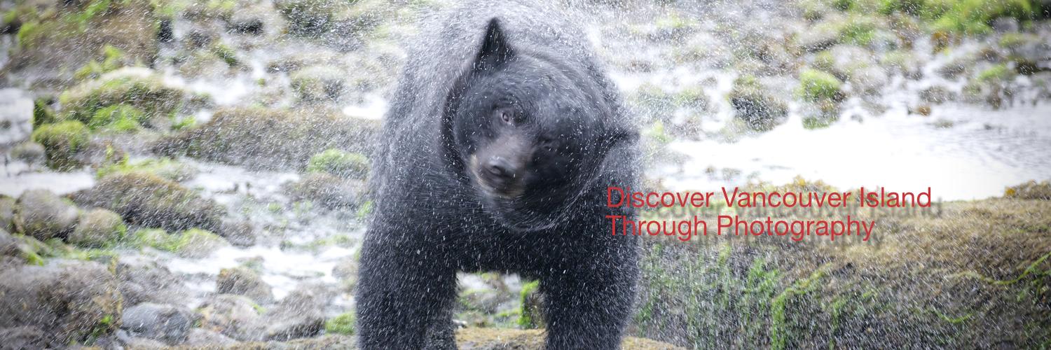 CatherineBabault's profile header