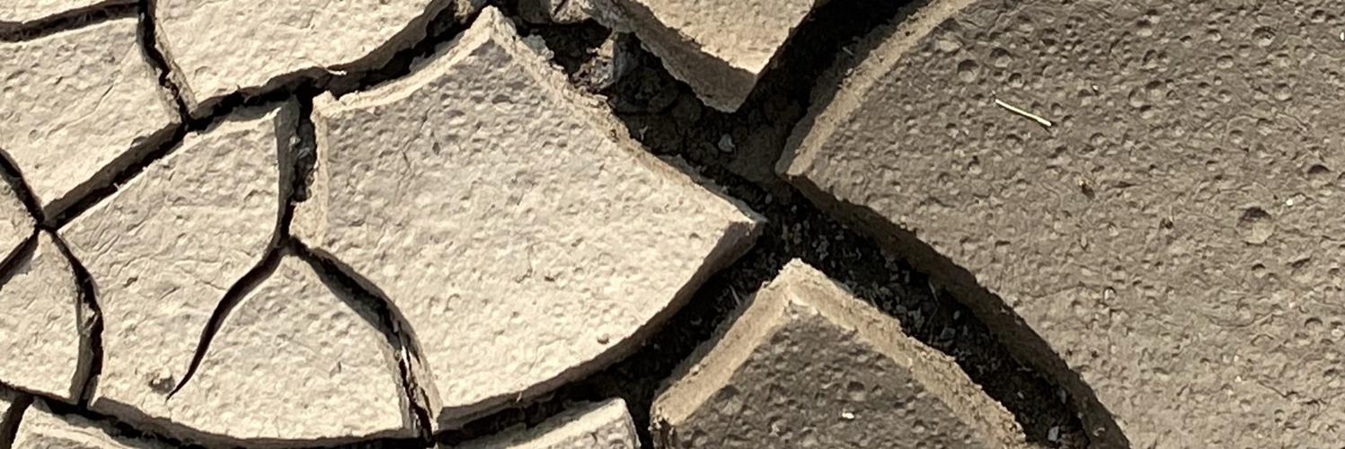 flux's profile header