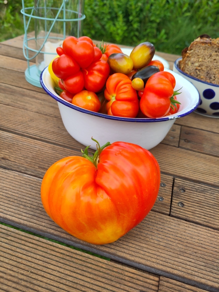 benbun's profile header