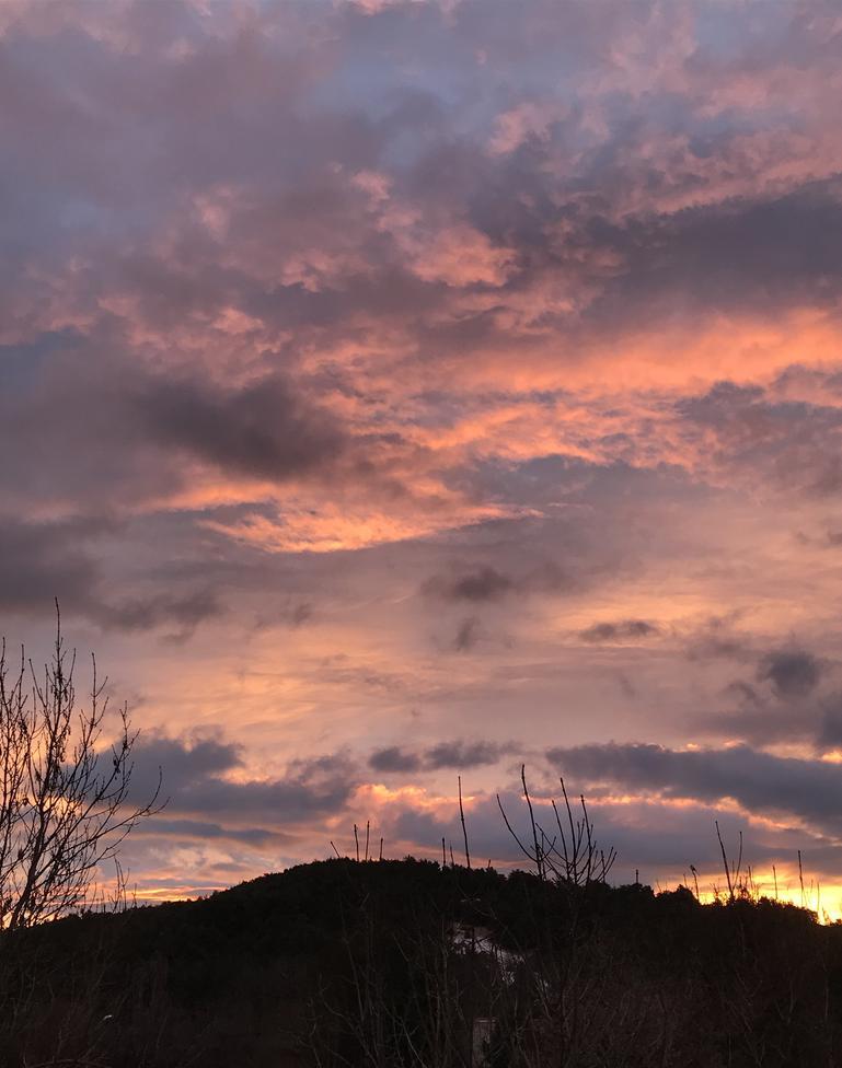 valerie_tortolero's profile header