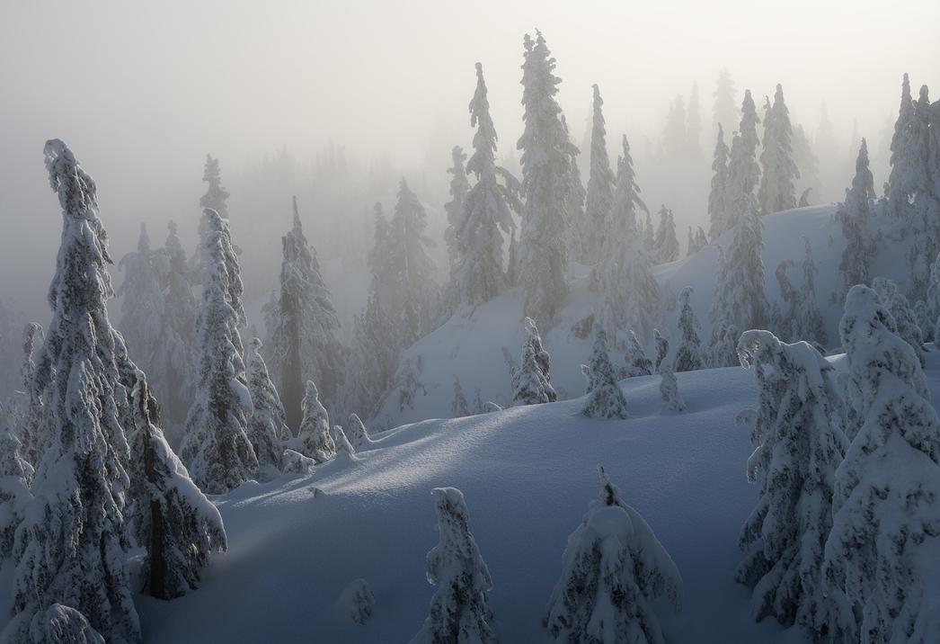 morgancarmont's profile header