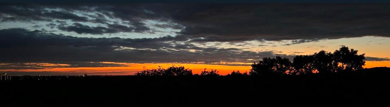 Loraine's profile header