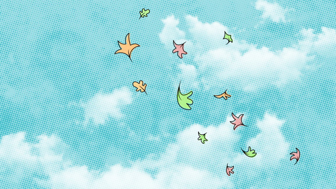 Matt's profile header