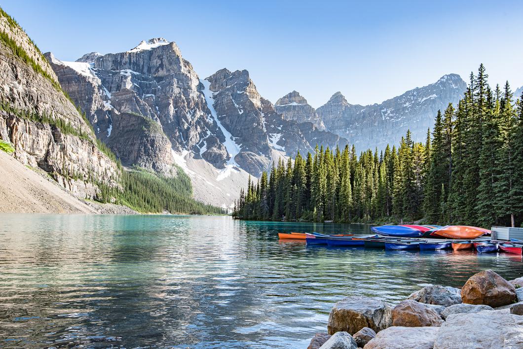 danielscher's profile header