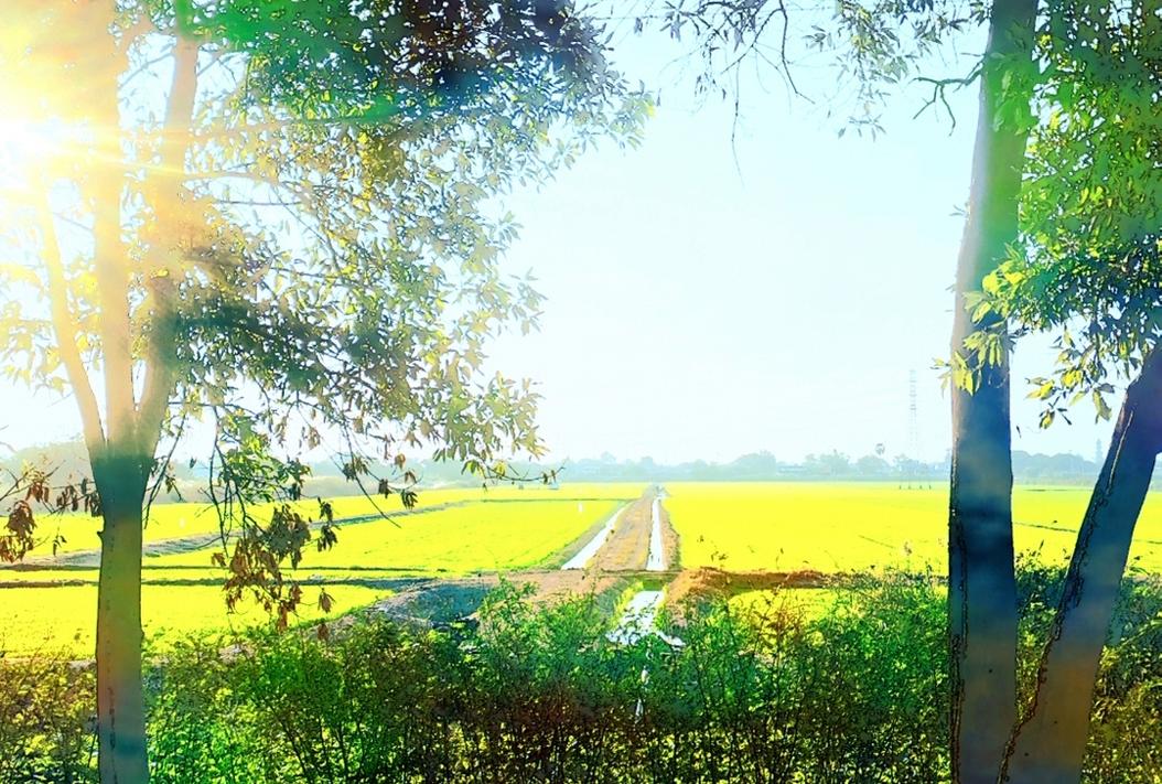 MamaLake's profile header