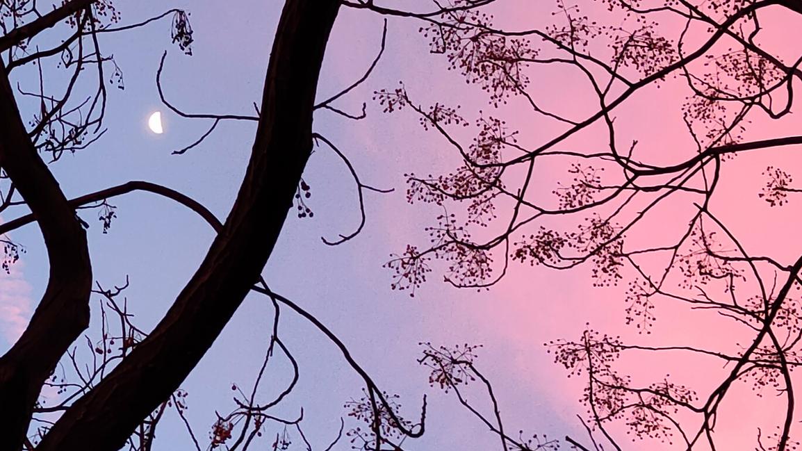 enriquericos's profile header