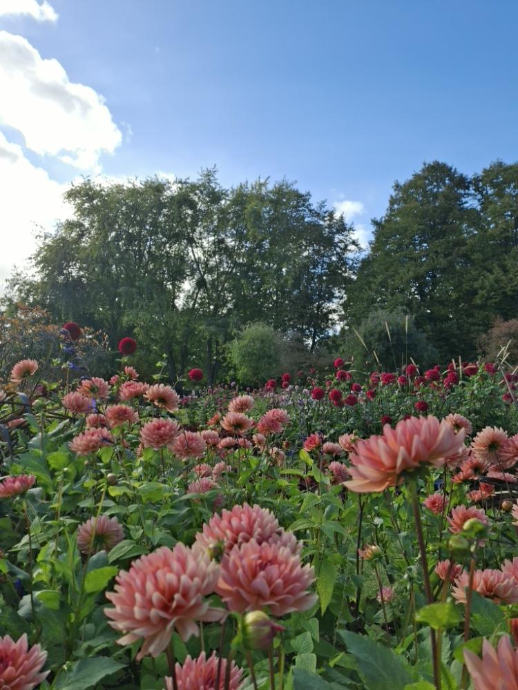 Mosun1's profile header