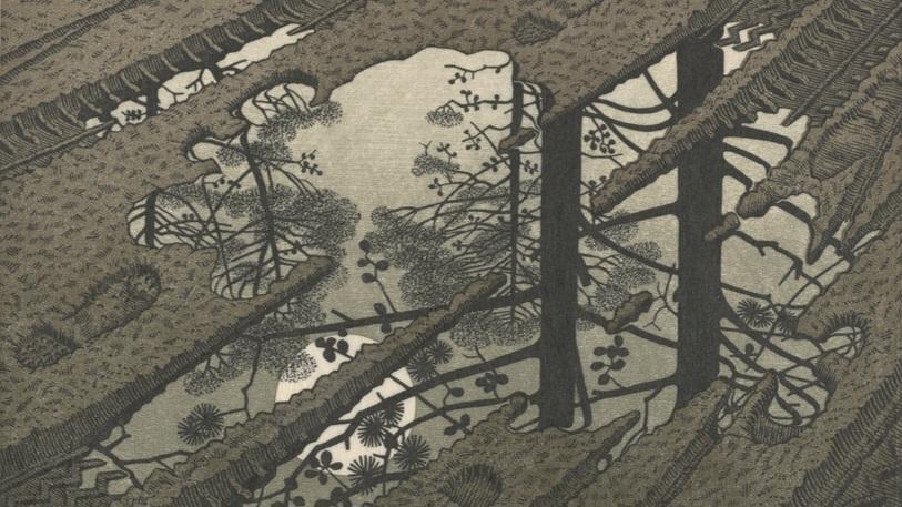 thisca11's profile header