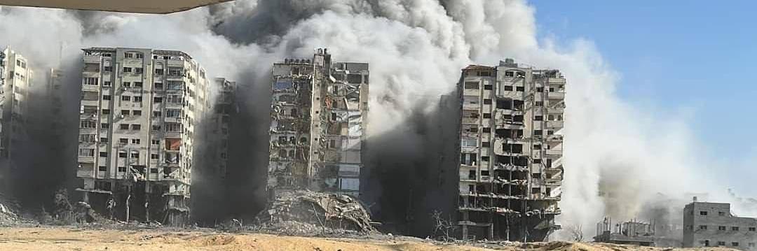 lina19942810's profile header