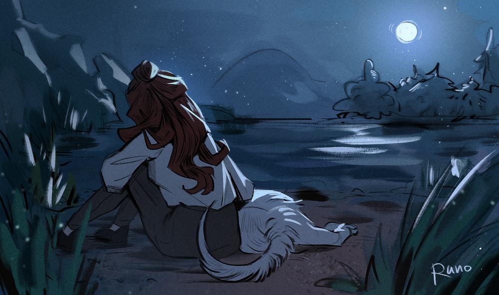 nosock's profile header