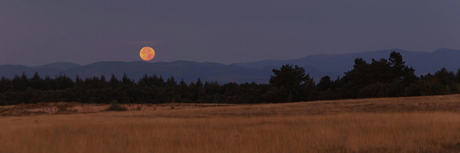 LuneCeleste's profile header