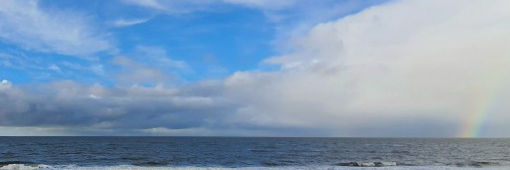 nfk's profile header