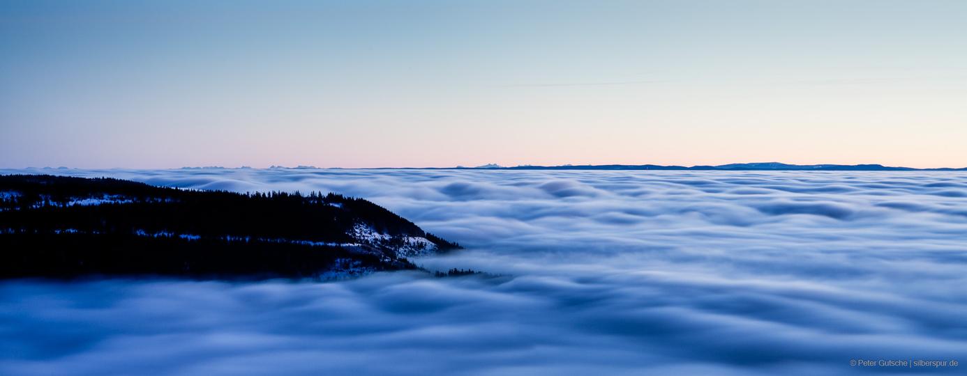 silberspur's profile header