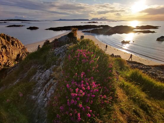 Artwork from Mastodon