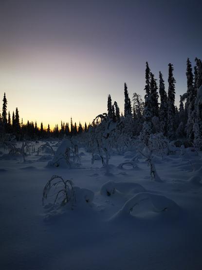 Artwork from Mastodon