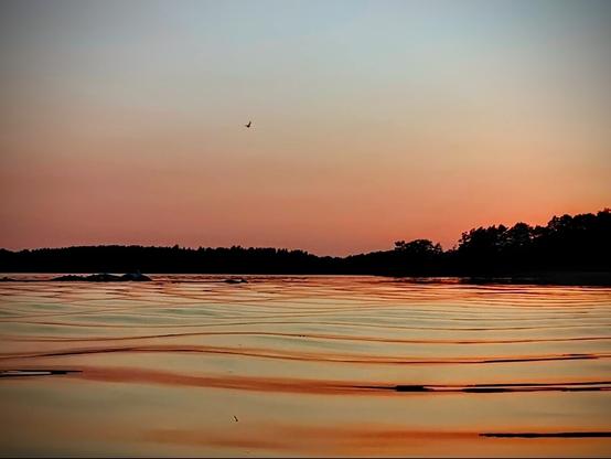 Artwork from Mastodon