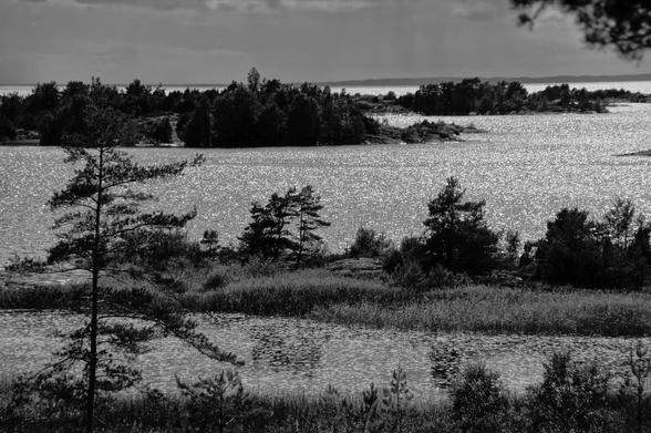 Artwork from Mastodon