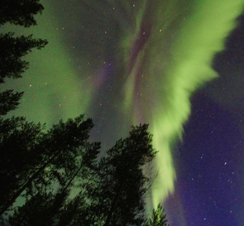 Artwork from Mastodon