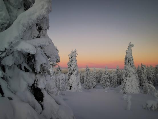 Artwork from Mastodon