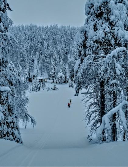 Artwork from Mastodon