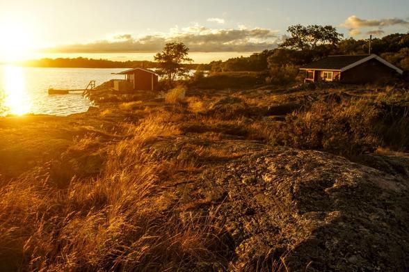 Artwork from Mastodon