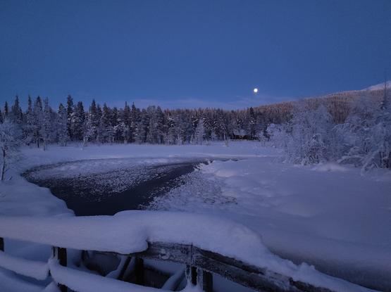 Artwork from Mastodon