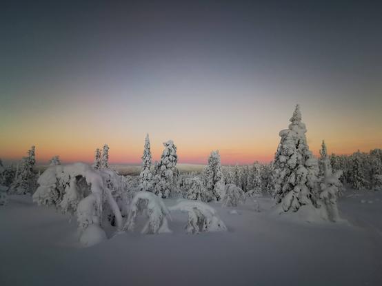 Artwork from Mastodon