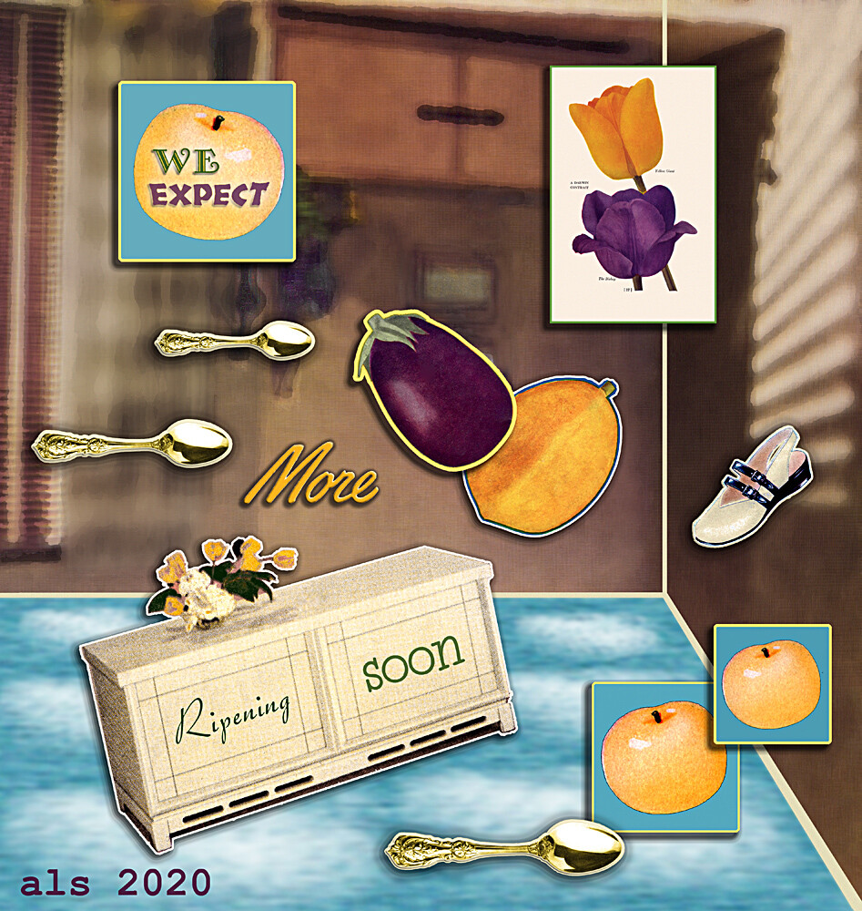 Tall rectangle with blurry brown and beige living room background, flipped upside-down so floor is ceiling & vice versa. “Carpet” of cloudy blue sky. Arranged in a semi circle: three yellow apples, an eggplant, a papaya, three gold teaspoons, a 1930s photoe of a  yellow and a purple tulip, a child’s saddle shoe, and a white hope chest with a yellow and white bouquet atop it. Text: “We expect more ripening soon.”