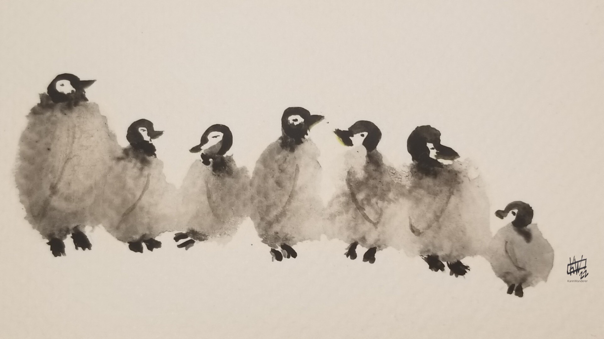 A waddle of penguin chicks