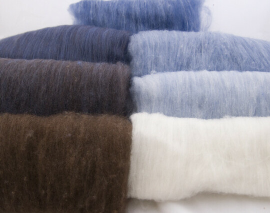 Two rows of wool fiber in batts that range in an ombre from brown (first batt in the left front) to medium blue (center back) to white (right front). 
