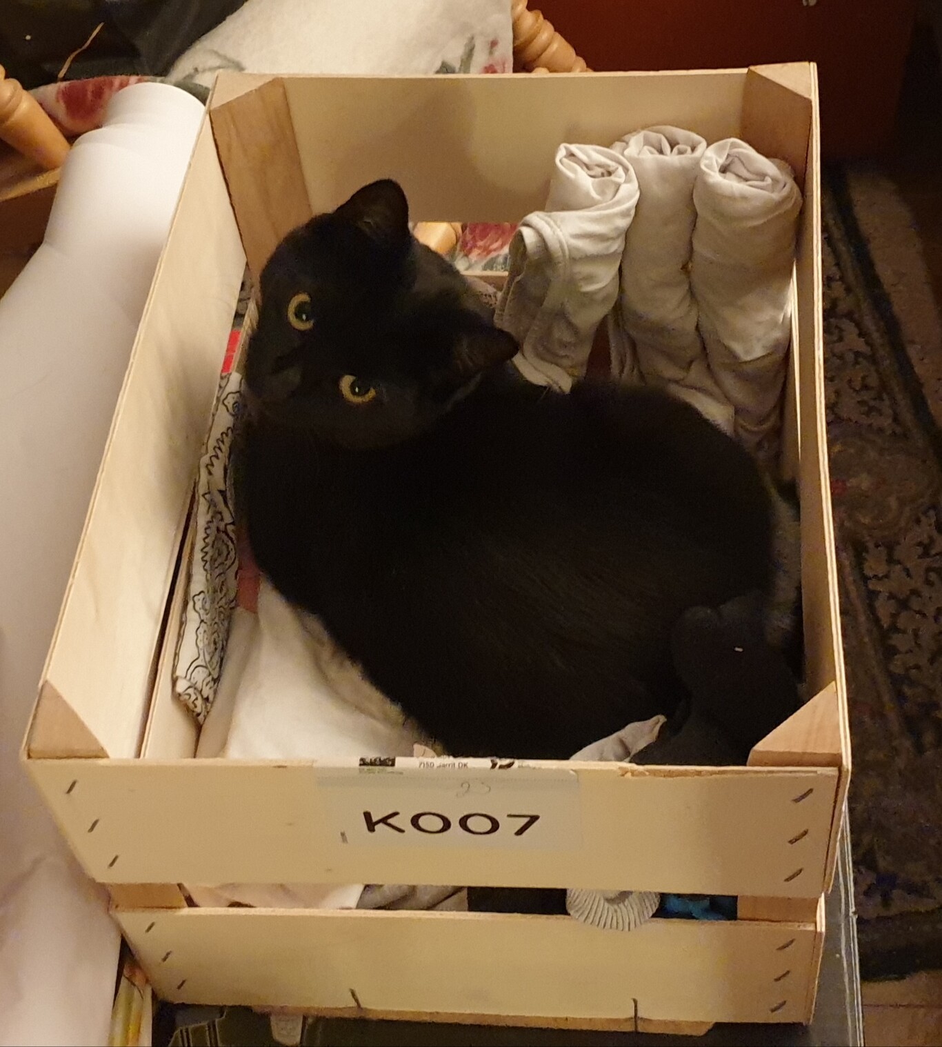 Alea the Black Cat in loaf position inside a cheap wooden box with socks.