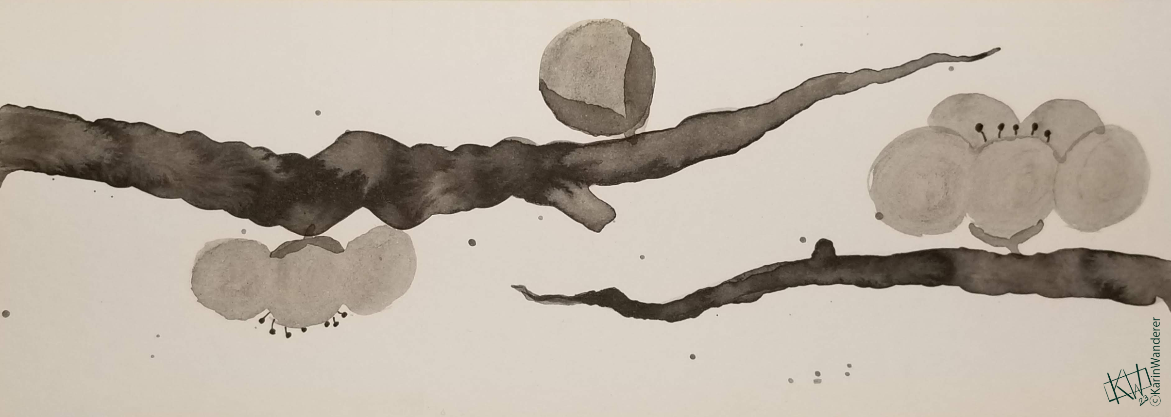 Sumi ink painting of plum branches with several blossoms & a bud.