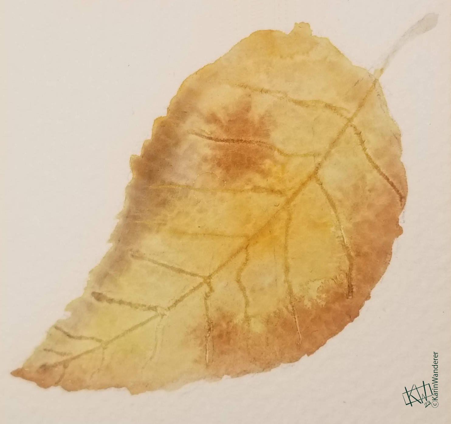 Watercolor of an orange-brown autumn leaf.