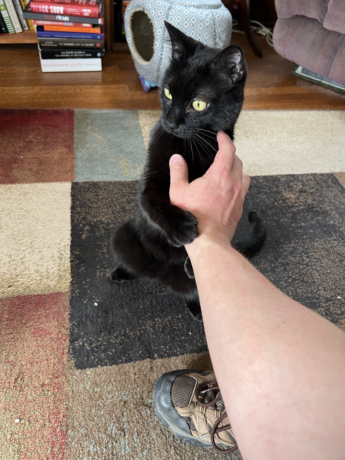 Posted media