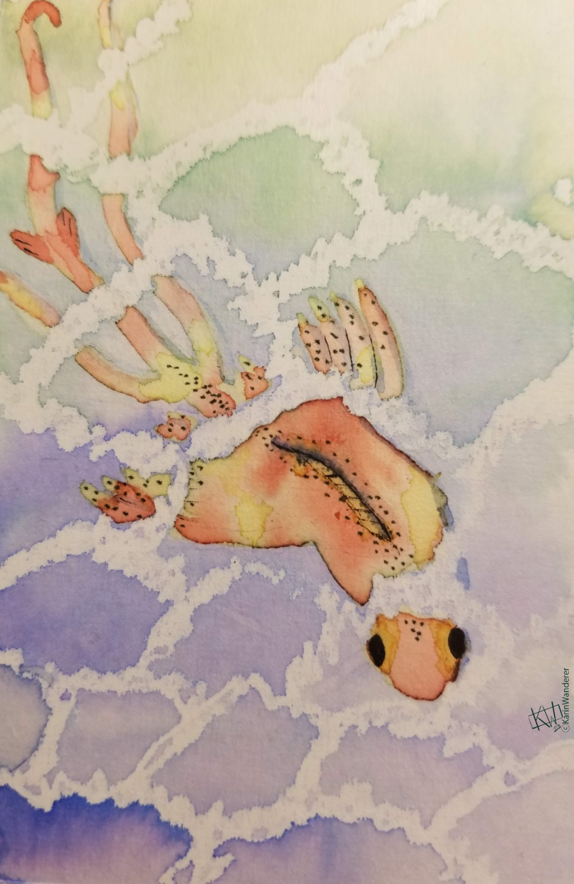 Watercolor of a yellow-orange-red fishlike animal with grey speckles down its back & on it fins. It has large black eyes & 3 tails. Caustic patterns cover the surface of the blue-green water it swims through.