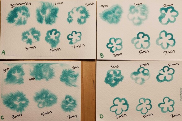 4 rectangles of watercolor are each labeled A,B,C, & D. 7 green flower shapes are painted on each one, each labeled with an amount of time from 30 seconds to 7 minutes. The flowers get less blurry as the times get longer. 